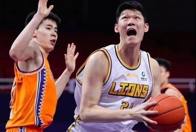 99精品国产免费久久久久久下载